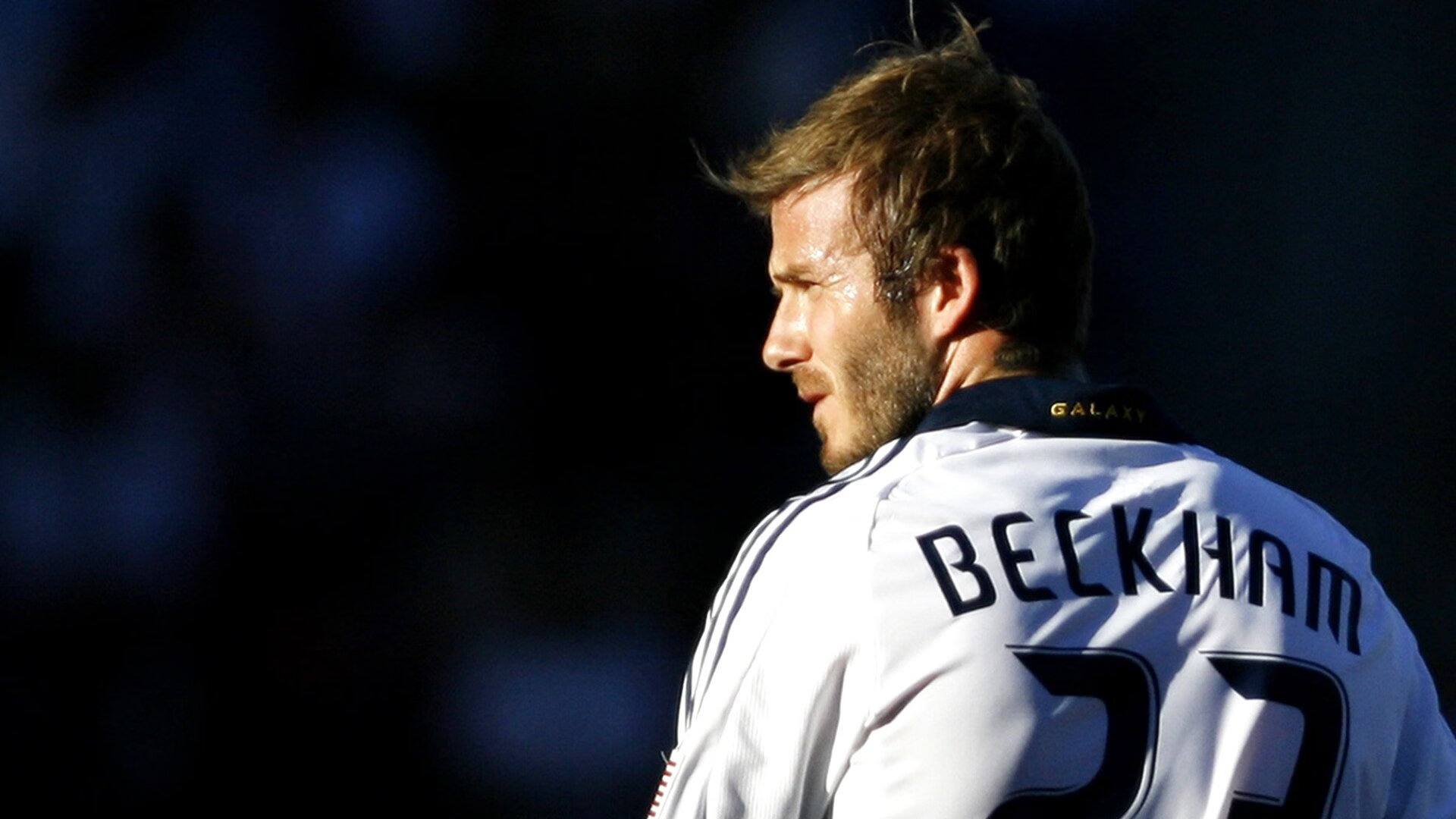 “超级粉丝”榜单:谁是真正的现场王者?,超级粉丝团集结